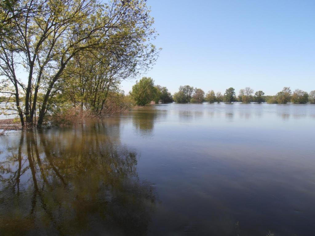 Chateau Sainte-Marie Dompierre-sur-Charente Bagian luar foto