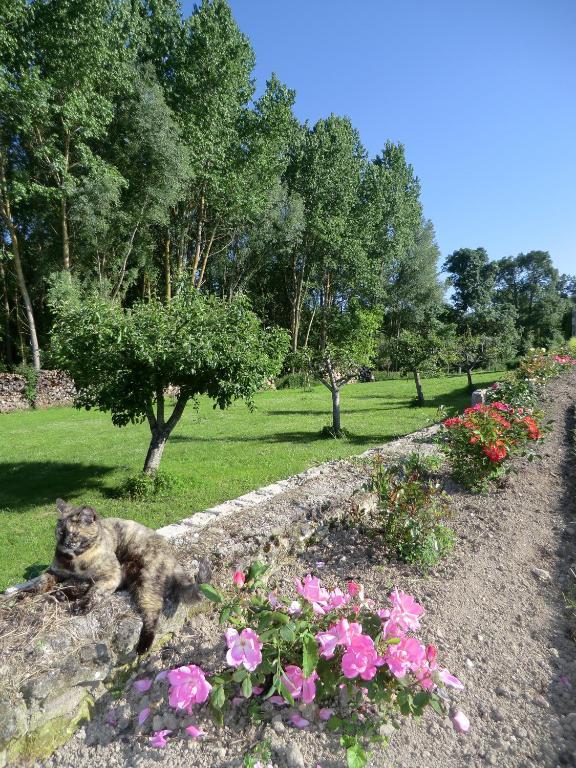 Chateau Sainte-Marie Dompierre-sur-Charente Bagian luar foto